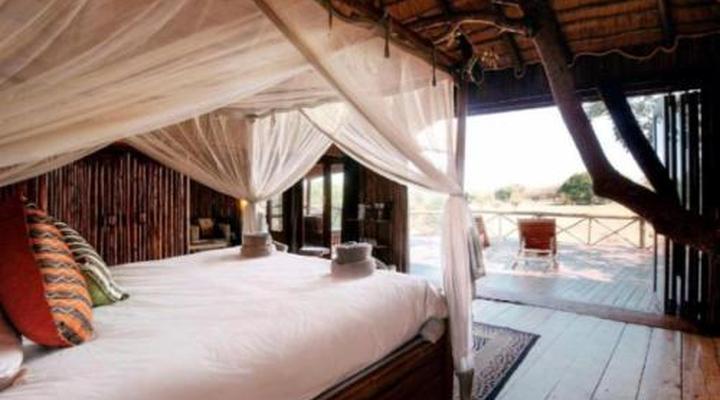 Pezulu Tree House Game Lodge