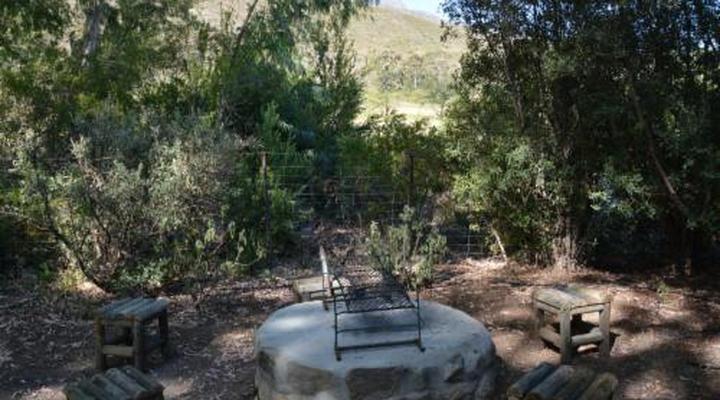 The Country Garden / Beecatcher Guest Farm