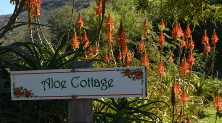 The Country Garden / Beecatcher Guest Farm