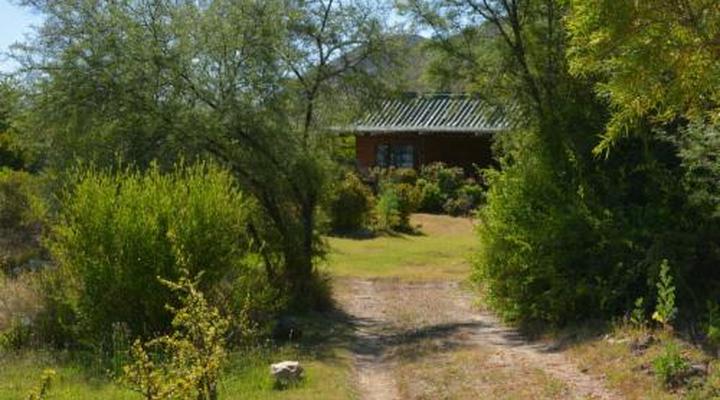 The Country Garden / Beecatcher Guest Farm