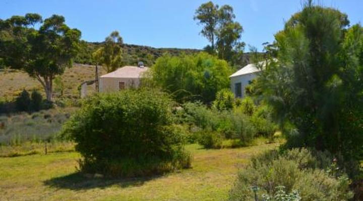 The Country Garden / Beecatcher Guest Farm