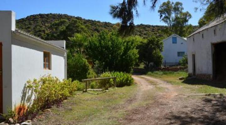 The Country Garden / Beecatcher Guest Farm