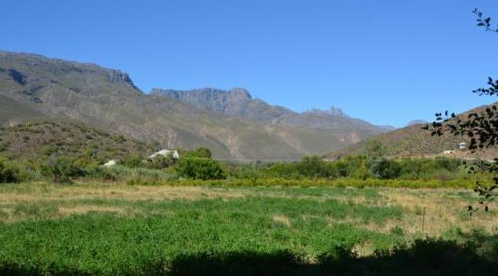 The Country Garden / Beecatcher Guest Farm