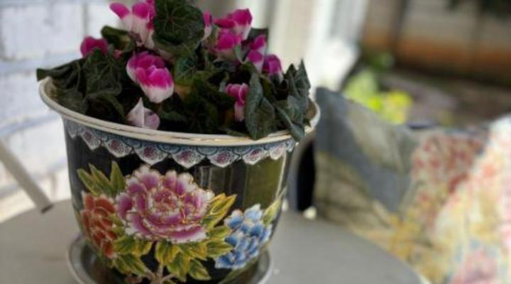 Angels Haven Guesthouse