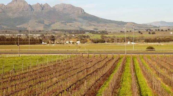 Lovane Boutique Wine Estate and Guest House