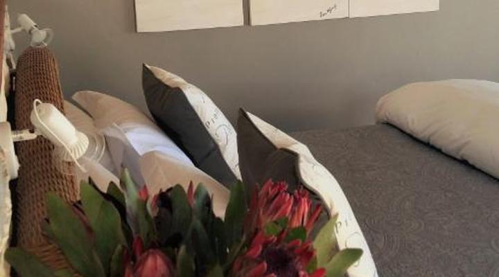 Kleinzee Oceanfront Guest House