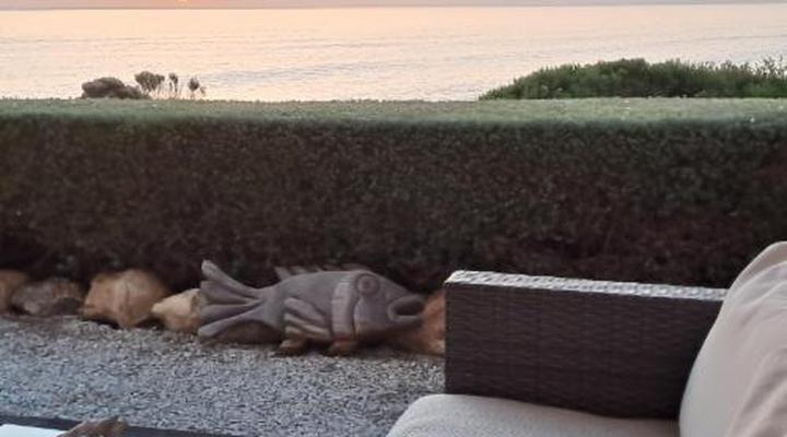 Kleinzee Oceanfront Guest House