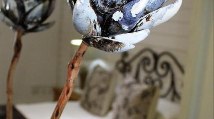 Kleinzee Oceanfront Guest House