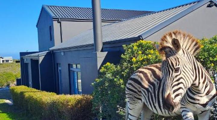 Kleinzee Oceanfront Guest House