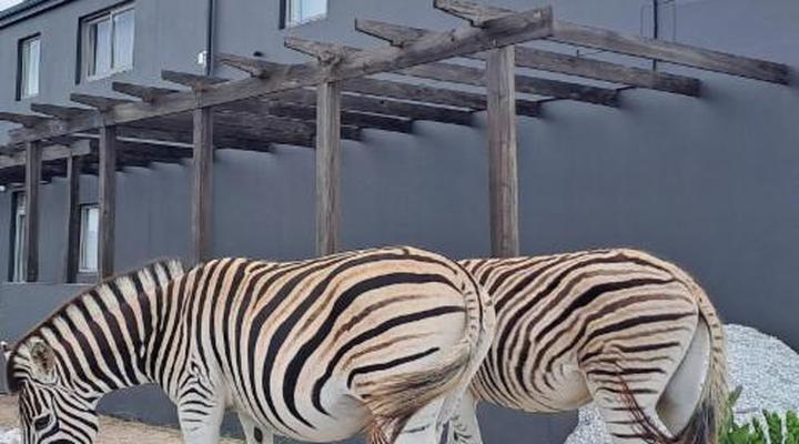 Kleinzee Oceanfront Guest House