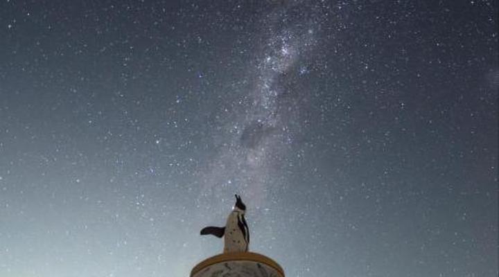 Kleinzee Oceanfront Guest House