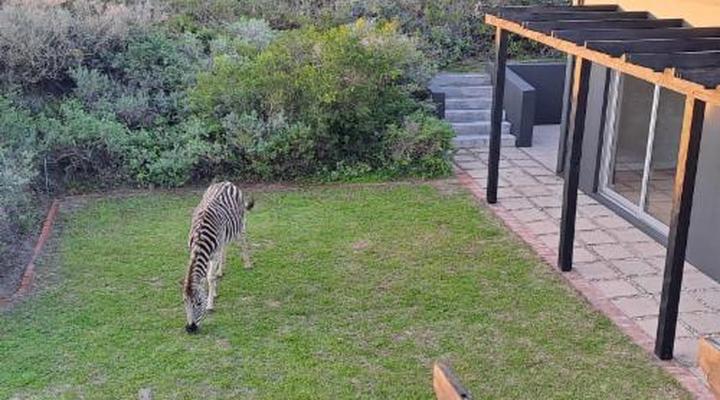 Kleinzee Oceanfront Guest House