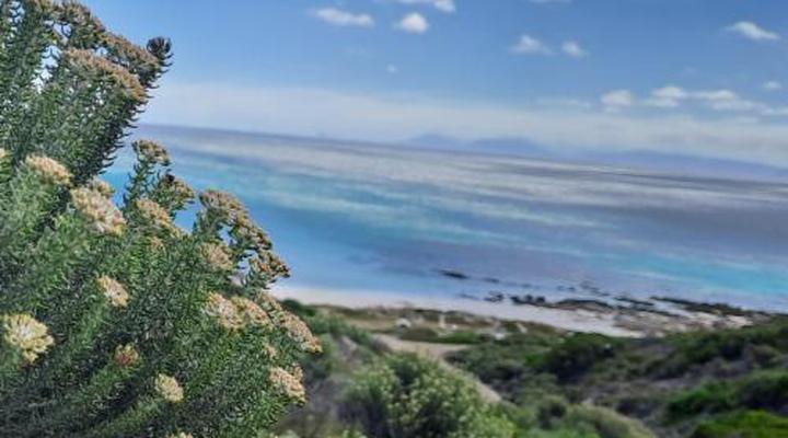 Kleinzee Oceanfront Guest House