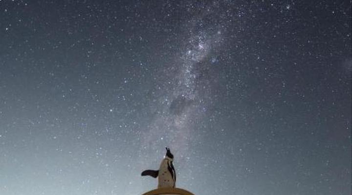 Kleinzee Oceanfront Guest House