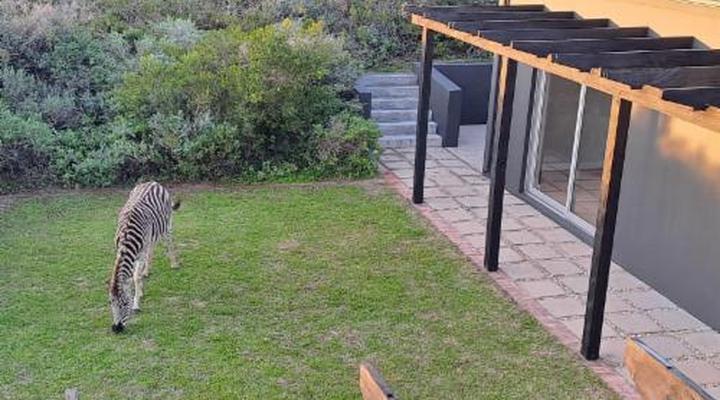 Kleinzee Oceanfront Guest House