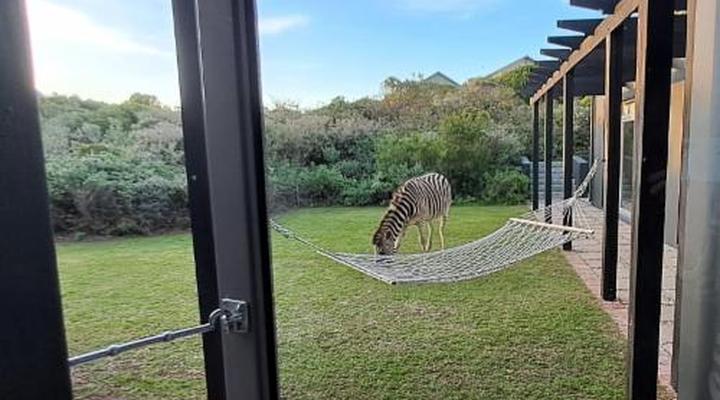 Kleinzee Oceanfront Guest House