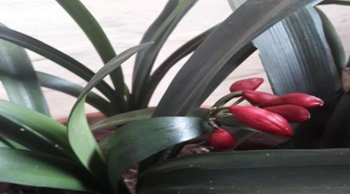 African Silhouette Guesthouse