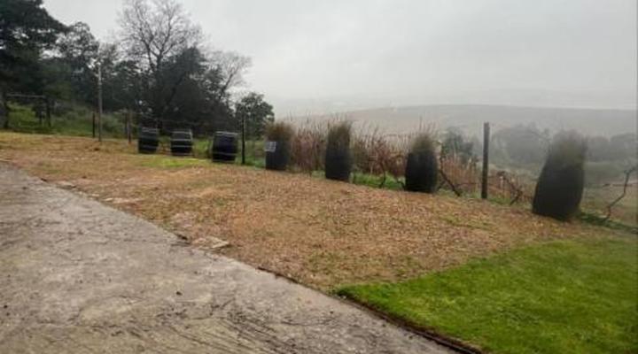 Bakenhof Winelands Lodge