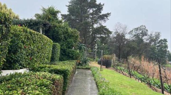 Bakenhof Winelands Lodge