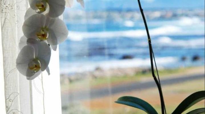 138 Marine Guesthouse