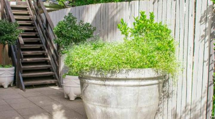 5 Seasons Guesthouse