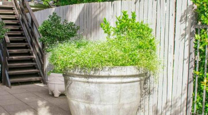 5 Seasons Guesthouse