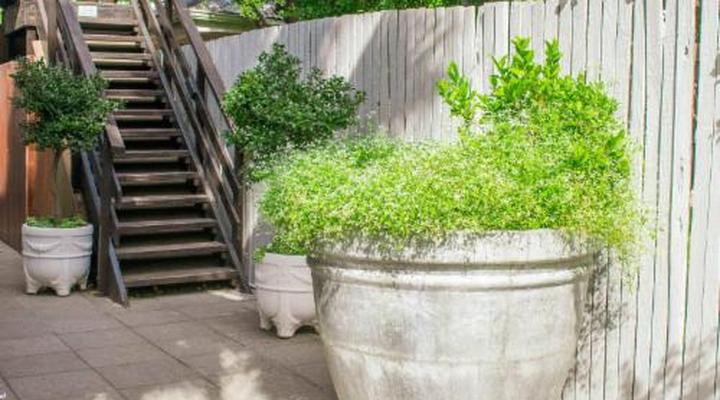 5 Seasons Guesthouse