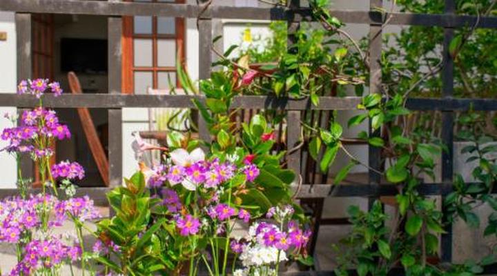 5 Seasons Guesthouse