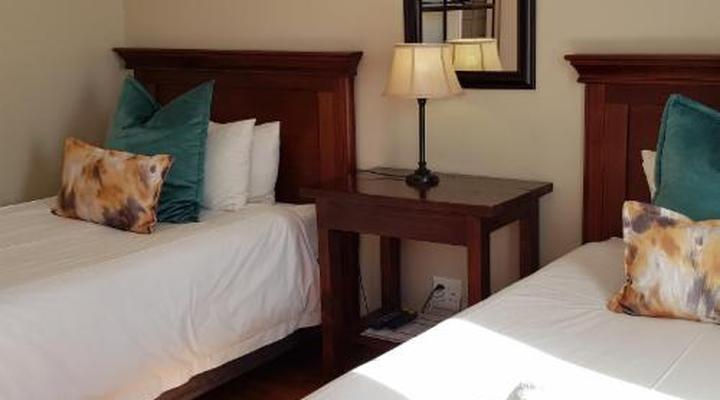 Aloes 62 on Meintjies