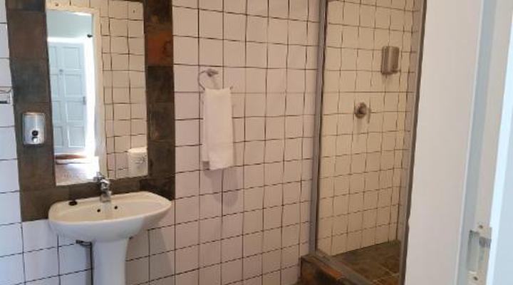 Aloes 62 on Meintjies