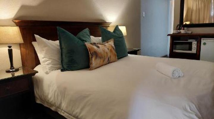 Aloes 62 on Meintjies