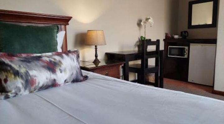 Aloes 62 on Meintjies