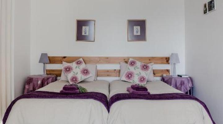 At Whale-phin Guest House