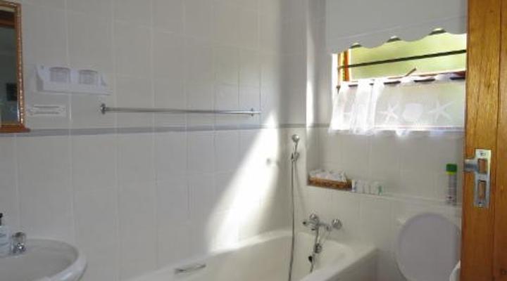 At Whale-phin Guest House