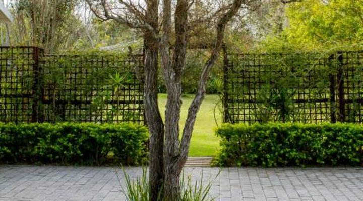 Cherry Berry Guest House