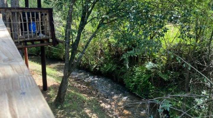 Gunyatoo Trout Farm & Guest Lodge