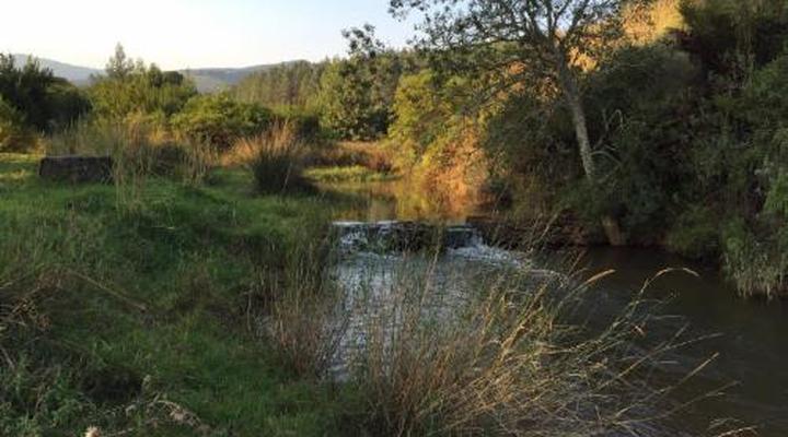 Gunyatoo Trout Farm & Guest Lodge