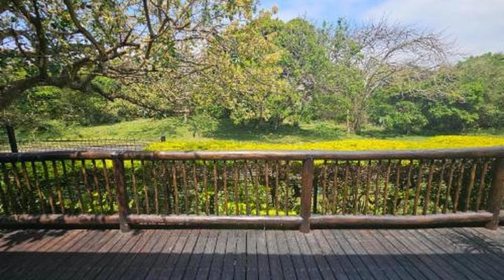 Leopard Corner Lodge