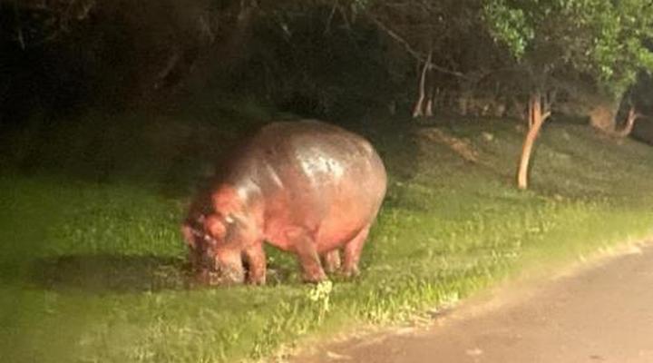 Leopard Corner Lodge