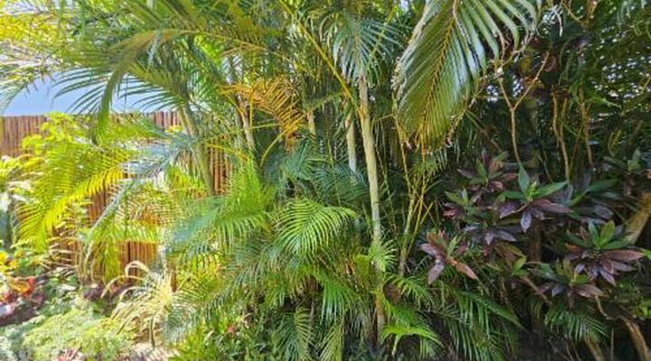 Leopard Corner Lodge