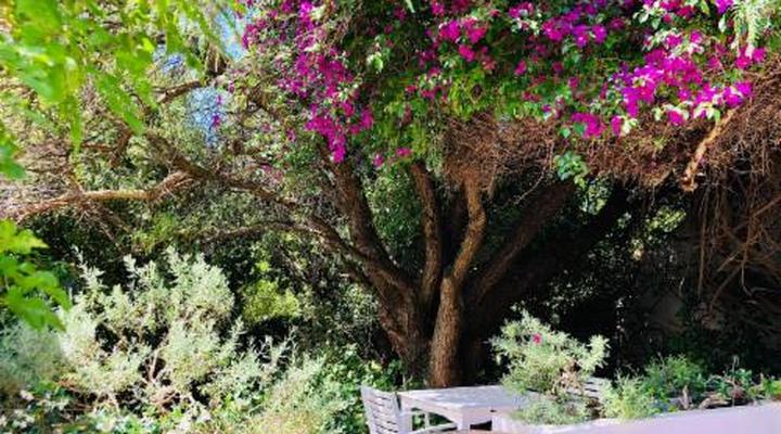 Dunstone Country House