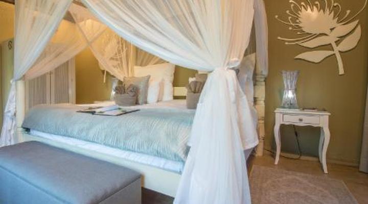 Kambaku Safari Lodge Timbavati