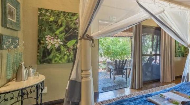 Kambaku Safari Lodge Timbavati