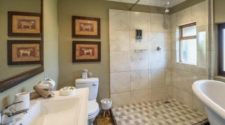 Kambaku Safari Lodge Timbavati