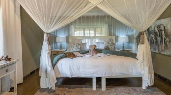 Kambaku Safari Lodge Timbavati