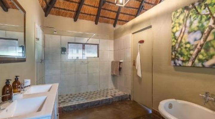 Kambaku Safari Lodge Timbavati