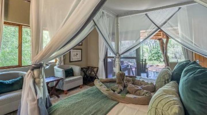 Kambaku Safari Lodge Timbavati