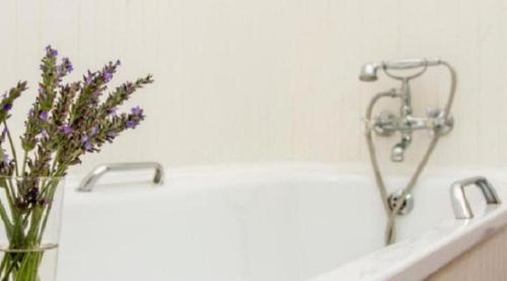 Albatross House Guest House