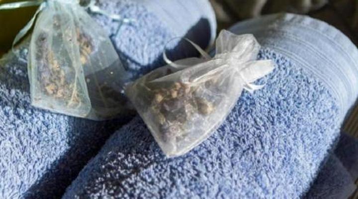 Albatross House Guest House