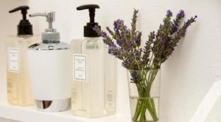 Albatross House Guest House